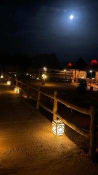 Moon Camp, Al Jafr (foto 4)