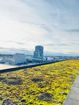 Design Penthouse Rooftop Loft, 190sq, 5 Beds, 2 Panorama Terrace, 1min to Main Station- 5min to City, Basilea (foto 2)
