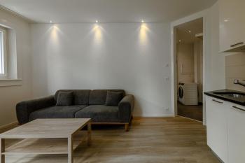 Luxury Apartments by Livingdowntown, Curych (fotografie 5)