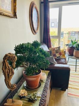 Cosy flat in New Malden, London, Kingston upon Thames (Foto 4)