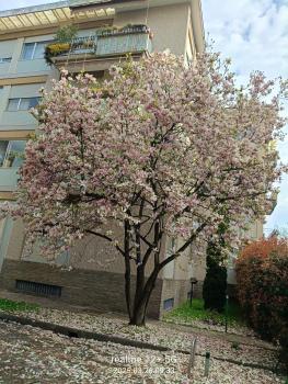 Garden Flat, Milan (photo 2)
