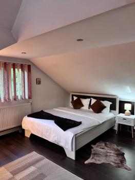 River Apartment, Sinaia (foto 3)