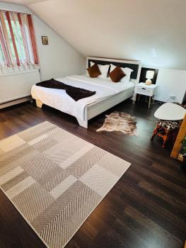 River Apartment, Sinaia (foto 2)