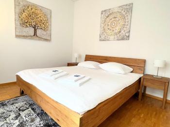 Charming flat near lake - FB7, Zürich (photo 3)