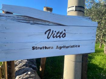 Vittò, Martina Franca (foto 5)
