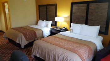 Quality Inn & Suites Montgomery East Carmichael Rd, Montgomery (photo 4)