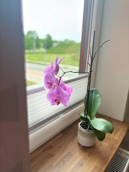 Apartment 107, Liepāja (fotografie 4)