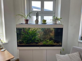 TheGreenCapital, Berlín (fotografie 4)