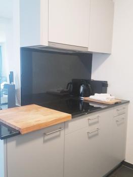 GRANDE SUITE with kitchen dish washer, dryer washer, Curych (fotografie 5)