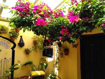 Baraka Boutique Pensión, Ronda (photo 3)