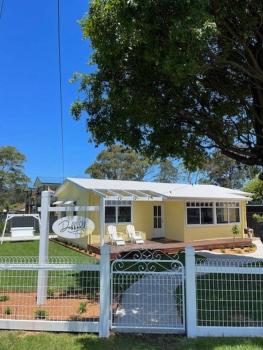 Daffodil on Owen, Huskisson (fotografie 2)