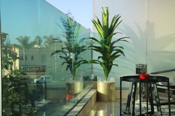 Studio luxueux sur Val d'anfa, Casablanca (fotografie 5)