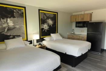 Super 8 by Wyndham Alexandria LA, Alexandria (Foto 3)