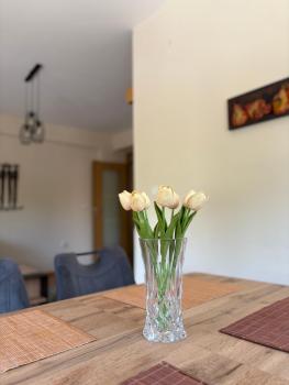 Apartment #2, Skopje (fotografie 4)