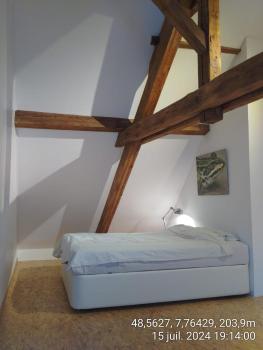 Large duplex with terrace, Strasbourg (photo 4)