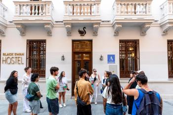 Black Swan Hostel Granada, Granada (photo 5)