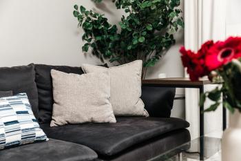 Elite 2BD in Miracle Mile, Los Angeles (photo 3)