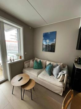 Central Apartment Bjørvika, Oslo (Foto 4)