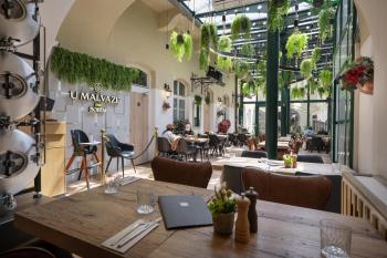 Little King Hotel U Malvaze, Praha (fotografie 5)