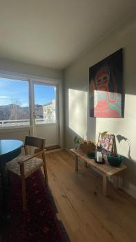 Cozy and easy apartment, Oslo (fotografie 5)