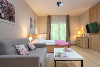 Karkonosky Apartamenty - Różany, Szklarska Poręba (foto 3)