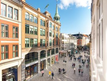 Leaves 1 - Charming Ap for 8 persons in Central Copenhagen, Kopenhagen (Foto 2)