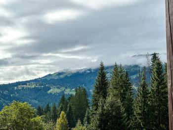 Котедж Forest house, Verkhovyna (foto 5)