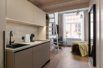 Stylish Loft in Riga Old Town, Riga (photo 3)