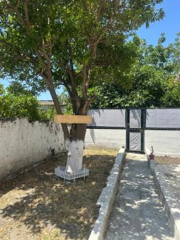 Orange Grove Apartment, Napoli (foto 3)