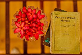 Devonia House - Galle, Galle (zdjęcie 2)
