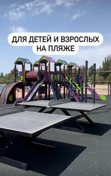 Чайка Иссык-Куль, Chon-Sary-Oy (foto 4)