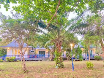 Love at First Sight, Chumphon (foto 2)