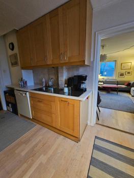 Cosy house, central and tranquil, Oslo (fotografie 5)
