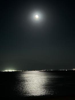 Moonlight Suite, Mashabbe Sade (fotografie 2)