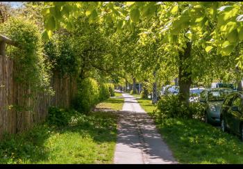 OakY, Kopenhagen (Foto 2)