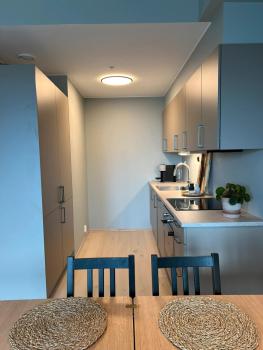 LADE - leilighet i Ringve Pluss, Trondheim (foto 3)