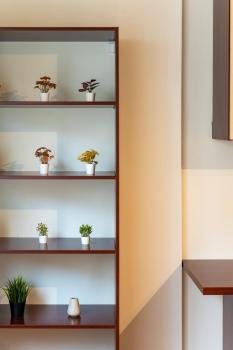 Ernest Apartment, Budapest (photo 3)