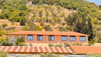 عجلون - تلال اشتفينا 8, Ajloun (fotografie 2)