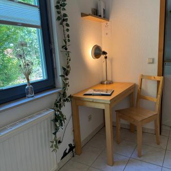 Elbinsel-Home ‘Alpakaliebe’, Hamburg (Foto 2)