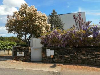 Single House, Vila Real (foto 2)