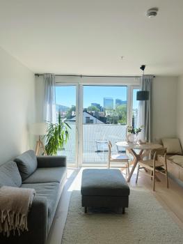 Modern apartment with big rooftop terrace, Осло (фото 2)