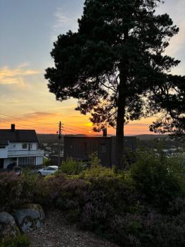 Arendalsuka - stort hus 15 min gangavstand til ferga, Arendal (fotografie 5)