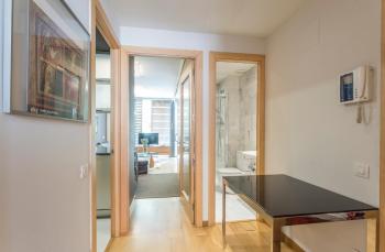 Apartment Barcelona Rentals - Pool Terrace in City Center, Barcelona (fotografie 5)