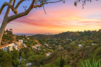 Hollywood Hills Spa Retreat Oasis with Tree Top Views, Private Jacuzzi Style Tub, Steam Room, Magical Half Acre Acre Garden and Patio, Free Parking for 2 cars, in LA's most Serene, Central Desirable Area, Los Angeles (fotografie 5)