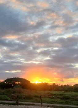 Eden Stays, Nadi (foto 2)