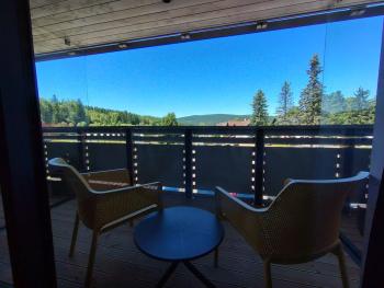 Studio Corso-1 by Interhome, Harrachov (photo 5)