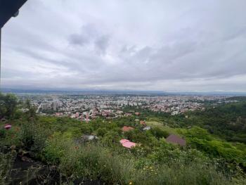 Terasa LIDO, Skopje (fotografie 5)