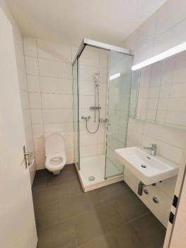 Zurich City Center Apartments next to Zurich HB Main Train Station LA - Self Checkin, Zürich (photo 5)