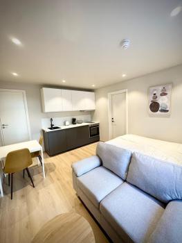Bright & Cozy Studio - Central Location, Oslo (photo 2)