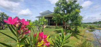 บ้านสวนโฮมสเตย์, Buriram (photo 3)